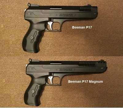 P17 Magnum 007.jpg