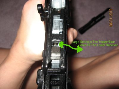 Spring On The Lower Receiver.JPG