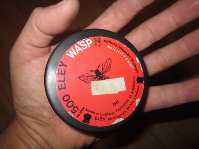 Wasp 001b.jpg