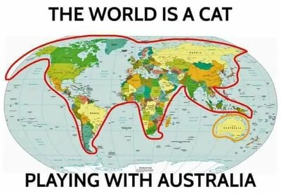 Cat World.jpg